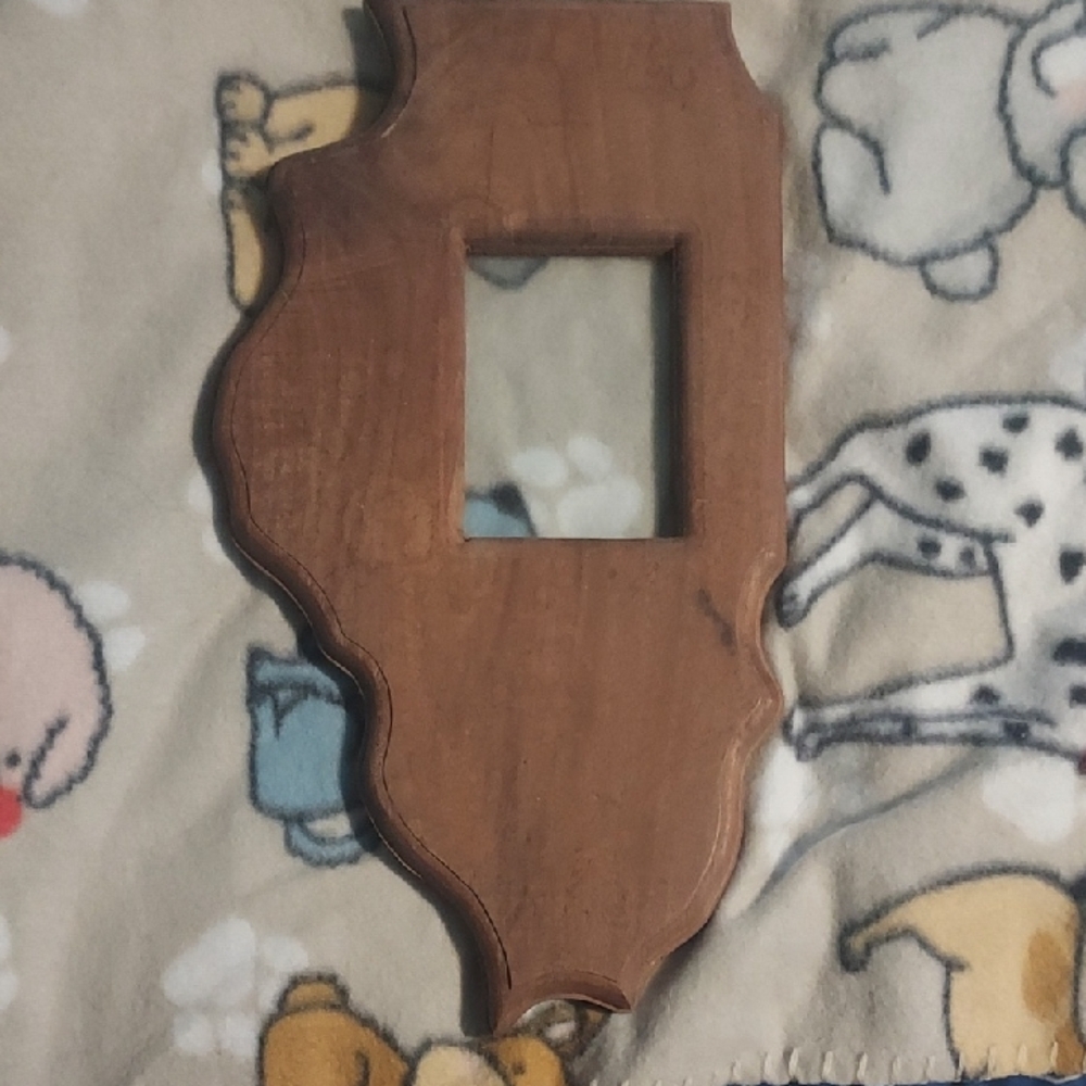 State Of Illinois Brown Wooden Picture Frame